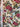 670dca8034be6e479edf2839_img-8198_1776856520723.jpeg