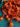 670dca8034be6e479edf2839_img-8208_1785450745850.jpeg