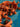 670dca8034be6e479edf2839_img-8209_1785450745850.jpeg