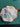 670dca8034be6e479edf2839_img-8247_1785452585774.jpeg