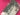670dca8034be6e479edf2839_img-8316_1782159257194.jpeg