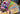 670dca8034be6e479edf2839_img-8383_1793393842326.jpeg