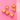 670dca8034be6e479edf2839_img-8385_1782512101244.jpeg