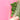 670dca8034be6e479edf2839_img-8389_1782512233592.jpeg