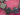 670dca8034be6e479edf2839_img-8549_1783114659527.jpeg