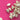 670dca8034be6e479edf2839_img-8555_1783115140689.jpeg