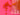 670dca8034be6e479edf2839_img-8556_1783114946245.jpeg