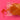 670dca8034be6e479edf2839_img-8557_1783114946244.jpeg
