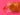 670dca8034be6e479edf2839_img-8557_1783114946244.jpeg