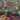 670dca8034be6e479edf2839_img-8631_1783466011622.jpeg