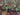 670dca8034be6e479edf2839_img-8631_1783466011622.jpeg