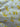 670dca8034be6e479edf2839_img-8651_1786575025742.jpeg