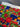 670dca8034be6e479edf2839_img-8667_1786575481721.jpeg