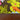 670dca8034be6e479edf2839_img-8689_1750802344618.jpeg