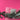 670dca8034be6e479edf2839_img-8743_1784230879514.jpeg