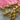 670dca8034be6e479edf2839_img-8750_1784232172544.jpeg