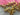 670dca8034be6e479edf2839_img-8750_1784232172544.jpeg