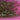 670dca8034be6e479edf2839_img-8756_1784231566868.jpeg