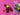 670dca8034be6e479edf2839_img-8776_1784308627076.jpeg