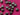 670dca8034be6e479edf2839_img-8852_1784596689383.jpeg