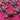 670dca8034be6e479edf2839_img-8859_1784597356240.jpeg