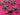670dca8034be6e479edf2839_img-8859_1784597356240.jpeg