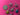 670dca8034be6e479edf2839_img-8860_1784597356240.jpeg
