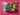 670dca8034be6e479edf2839_img-8889_1784836896379.jpeg