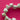 670dca8034be6e479edf2839_img-8939_1784832747083.jpeg