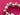 670dca8034be6e479edf2839_img-8939_1784832747083.jpeg
