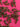 670dca8034be6e479edf2839_img-9151_1785867068364.jpeg