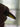 670dca8034be6e479edf2839_img-9152_1785867068364.jpeg