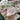 670dca8034be6e479edf2839_img-9254_1788711302972.jpeg
