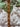 670dca8034be6e479edf2839_img-9258_1788711302973.jpeg