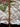 670dca8034be6e479edf2839_img-9260_1788711302973.jpeg