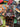 670dca8034be6e479edf2839_img-9267_1788712873188.jpeg