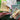 670dca8034be6e479edf2839_img-9269_1788713386920.jpeg