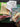 670dca8034be6e479edf2839_img-9269_1788713386920.jpeg