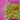 670dca8034be6e479edf2839_img-9305_1786484100234.jpeg