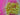 670dca8034be6e479edf2839_img-9305_1786484100234.jpeg