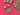 670dca8034be6e479edf2839_img-9319_1786483936396.jpeg