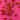 670dca8034be6e479edf2839_img-9375_1786733056260.jpeg