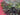 670dca8034be6e479edf2839_img-9385_1786732828033.jpeg