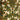 670dca8034be6e479edf2839_img-9407_1760302797879.jpeg