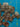 670dca8034be6e479edf2839_img-9412_1788725908867.jpeg