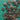 670dca8034be6e479edf2839_img-9417_1788726136772.jpeg