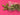 670dca8034be6e479edf2839_img-9464_1786984136193.jpeg