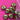 670dca8034be6e479edf2839_img-9465_1786984136194.jpeg