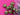 670dca8034be6e479edf2839_img-9465_1786984136194.jpeg
