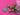 670dca8034be6e479edf2839_img-9466_1786984136194.jpeg